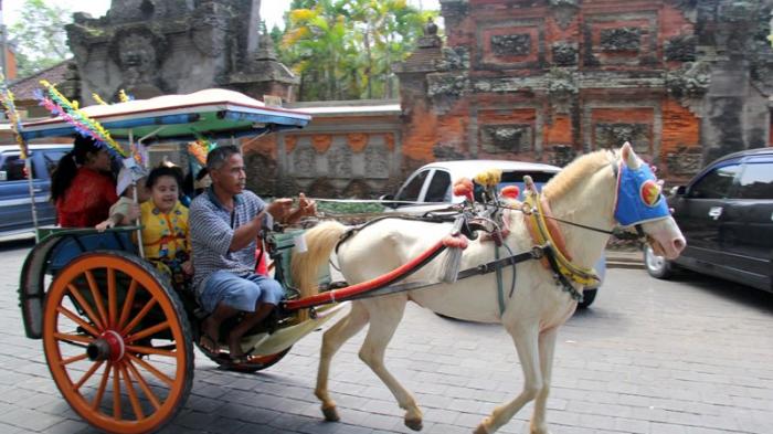 bali tour - dokar at denpasar