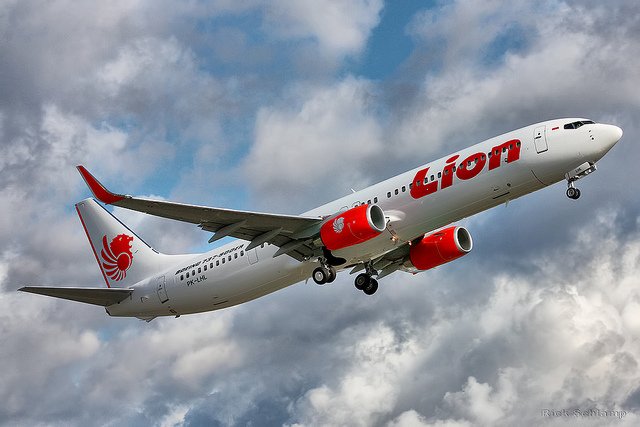 lion air flight