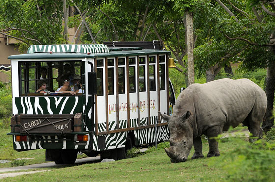 MBA Bali Tours - Bali Safari & marine park