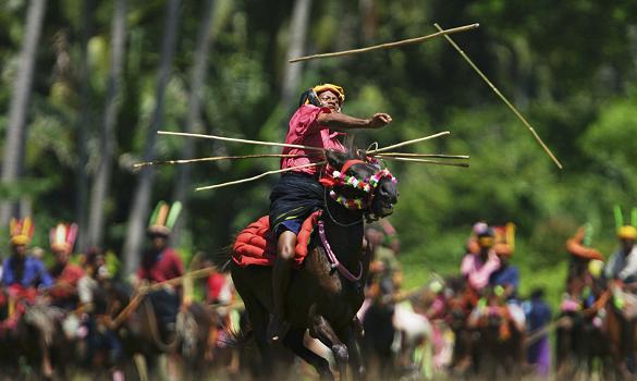 Bali Tour - Pasola Wooden Throwing Festival