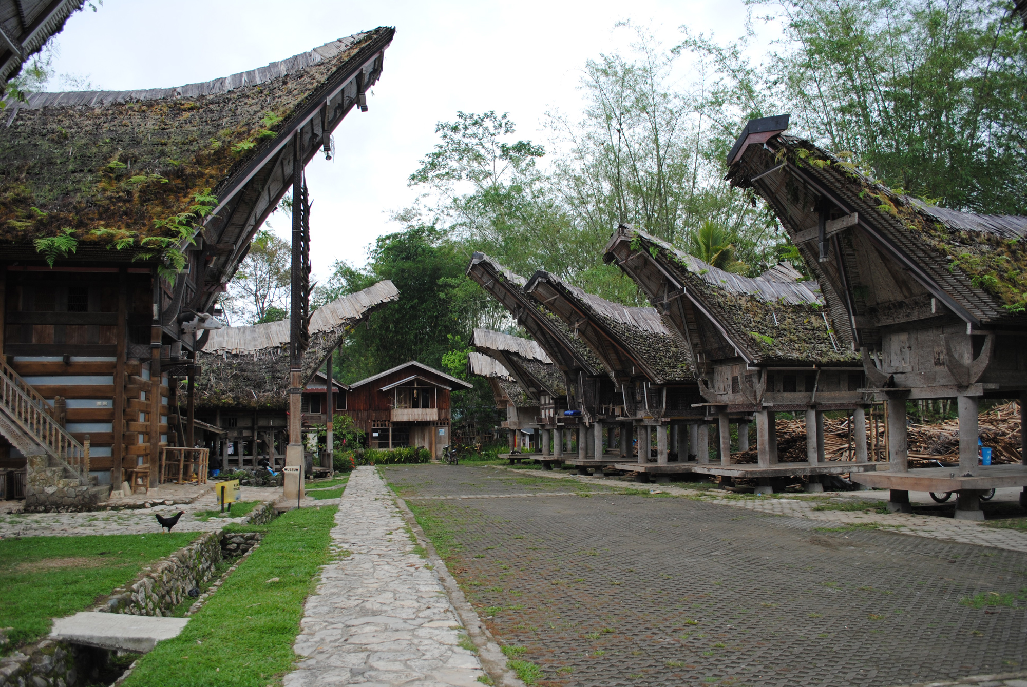 MBA Bali Tours - Tana Toraja