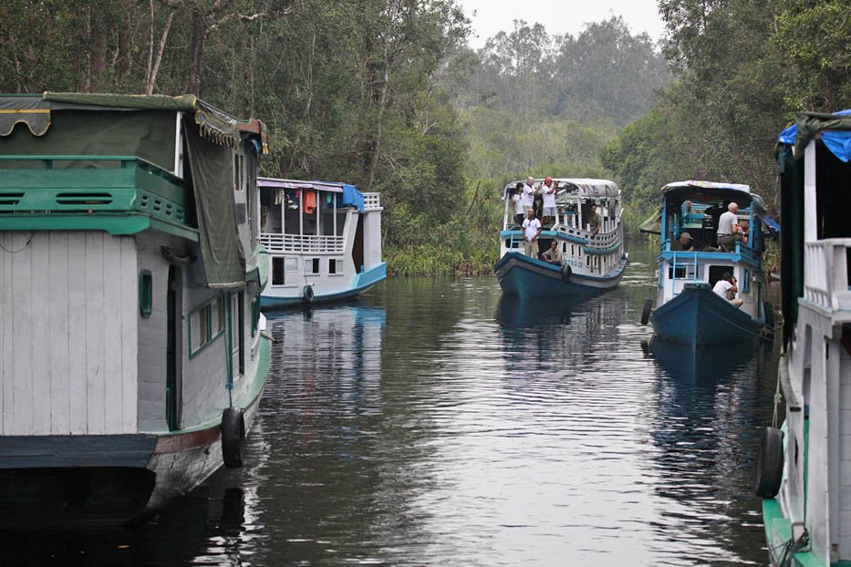 MBA Bali Tours - Tanjung puting 1