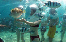 MBA Bali Tours - sea walker