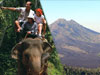 Bali Elephant Ride & Kintamani Tour