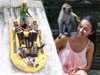 Bali Rafting & Ubud Tour