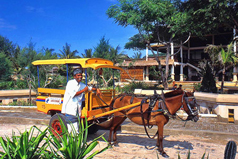 Gili transportation