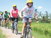 Bali Cycling Activity