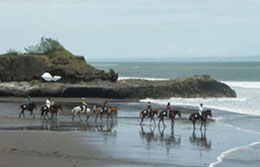 Bali Horse Ride Tour