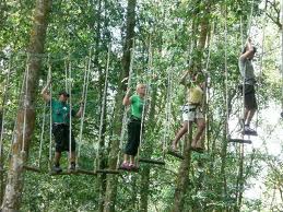 Tree Tops Bali