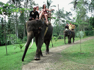 Elephant Ride at Bakas Elephant camp