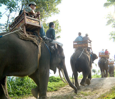 Elephant Ride at Elephant Camp