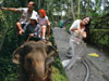 Bali Elephant & Ubud Tour