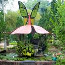 Butterfly-Park