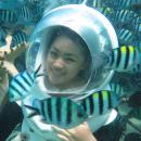 06-mba-bali-tour-seawalker