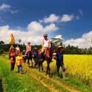 bali-horse-riding7