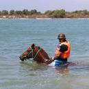 bali-horse-riding99