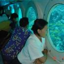 05-enjoy-under-water-attraction-at-odyssey-submarine-bali