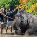 bali-zoo-bath-elephant