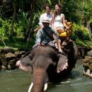 bali-zoo-elephant-adventure-trek