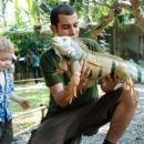 bali-bird-park-reptile-park