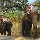 bali-elephant-camp-1