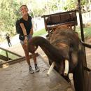 bali-elephant-camp-12