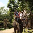 bali-elephant-camp-14