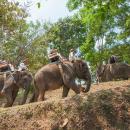 bali-elephant-camp-18