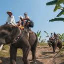 bali-elephant-camp-20