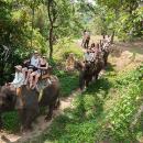 bali-elephant-camp-21