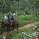 bali-elephant-camp-3