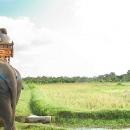 bali-elephant-camp-5