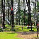 bali-treetop-bedugul01