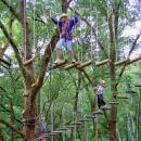 bali-treetop-bedugul03