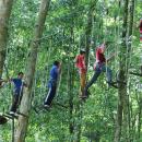 bali-treetop-bedugul04