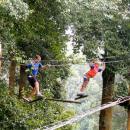 bali-treetop-bedugul06