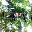 bali-treetop-bedugul08