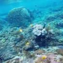 bali-watersport-snorkeling02