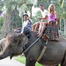 bali-elephantride-kintamani tour02