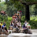 bali-elephantride-kintamani tour03