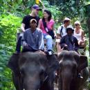 elephant-ubud