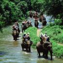 elephant-ubud03