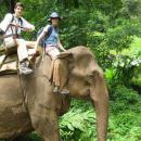 elephant-ubud04