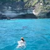 snorkeling-wall-bay-new