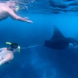 snorkeling-manta-bay-new