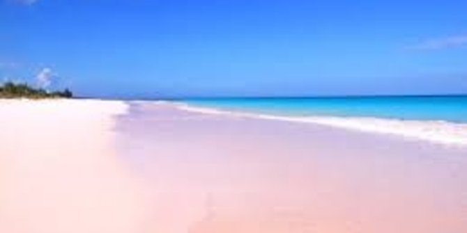 Pink Beach Harbour Island,
 Bahamas