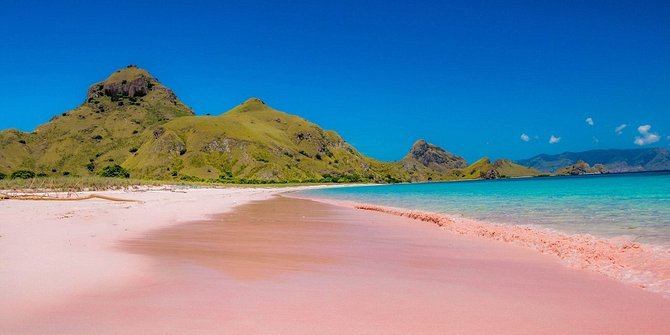 Pink Beach,
 Komodo National Park,
 Flores