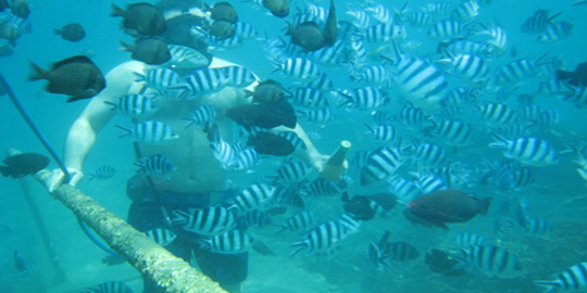 Snorkeling Blue Lagoon Bali