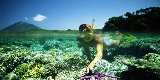 Snorkeling Menjangan Bali